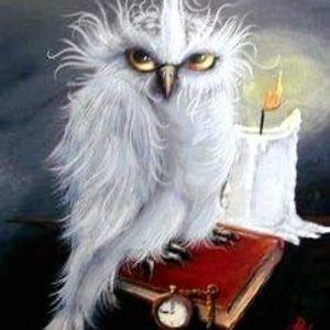 Meet your Posher, Sophia